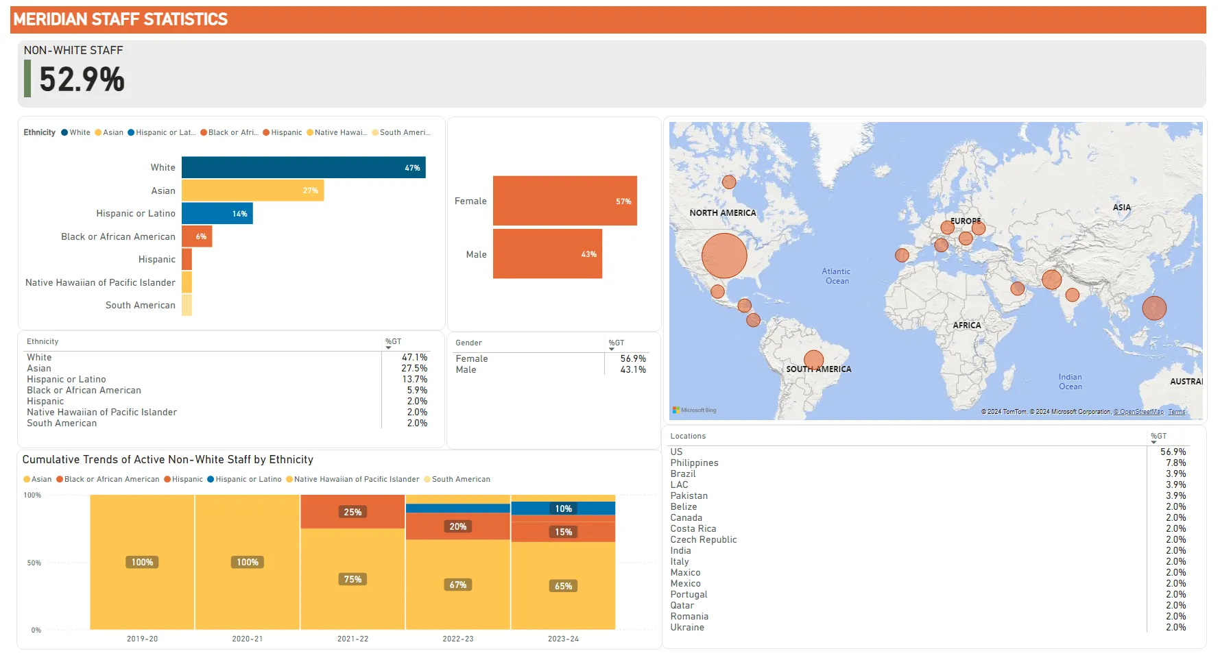 meridian staff diversity stats