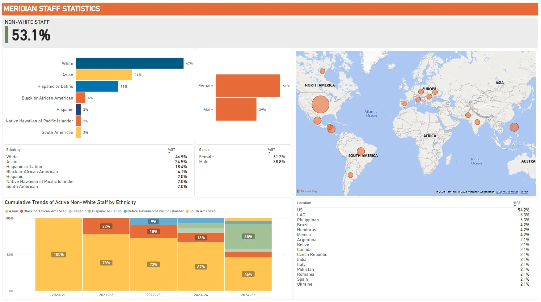 meridian staff diversity stats