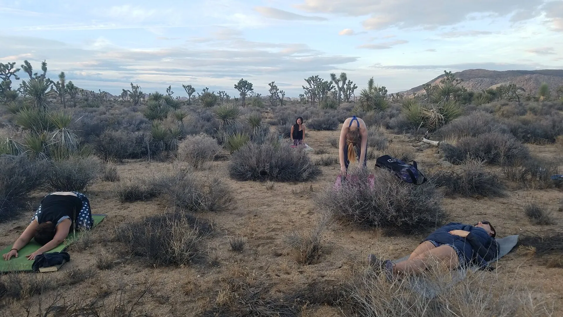 Angela Taylor promoting yoga practice for healing in the desert