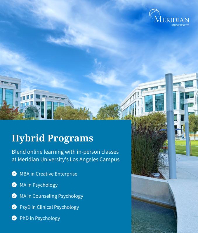 Hybrid Learning Programs at Meridian University