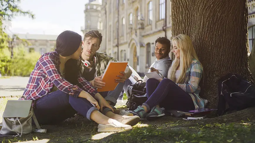 Students chatting under the tree on campus, preparing for exams.