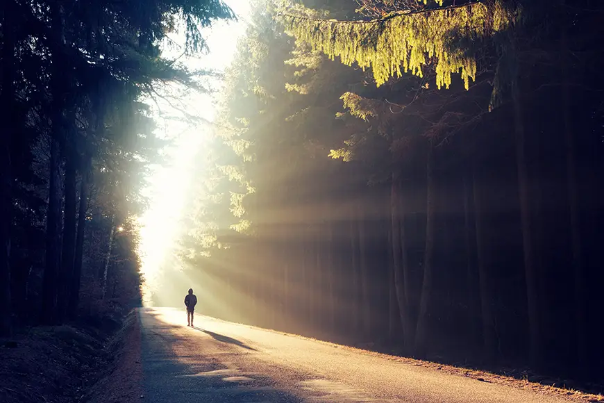 A solitary figure walks on a forest path, bathed in radiant sunlight streaming through towering trees.