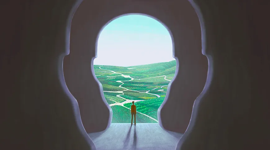 An illustration of a person standing inside a duplicated human head looking at a grass field.