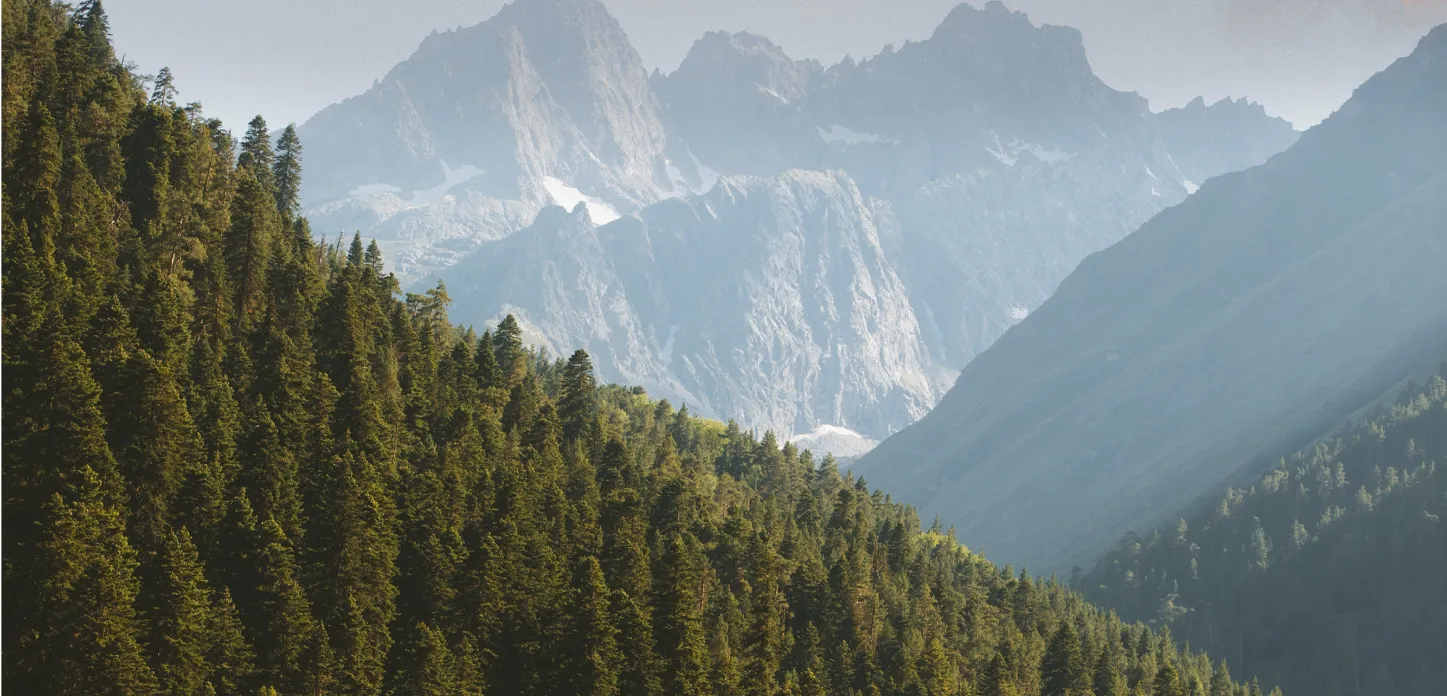 evergreen forest mountain side with mountains in background